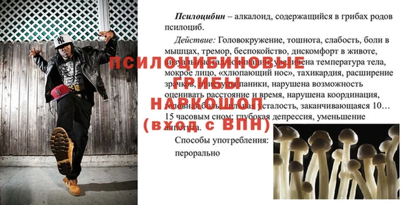 таблы Магас