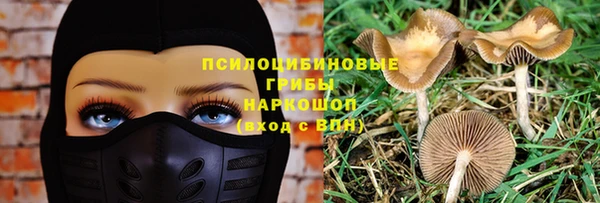метамфетамин Липки