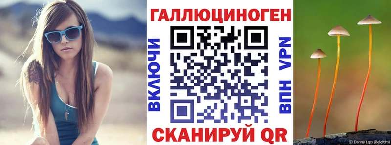 Купить закладки  Михайловка  Псилоцибиновые грибы Magic Shrooms 